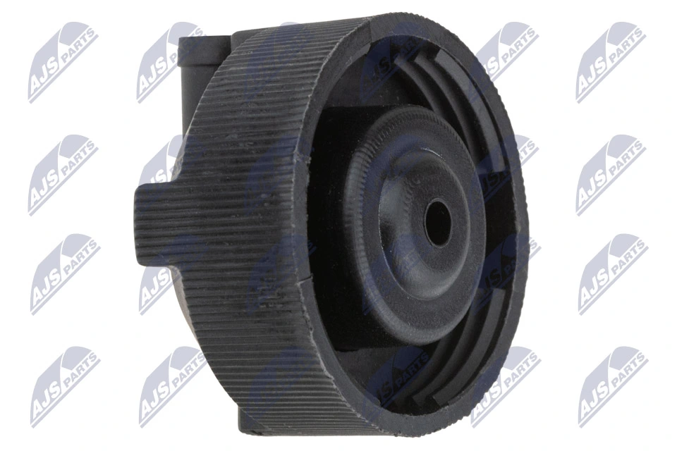 Tampa (tampão) do tanque de expansão Iveco Daily