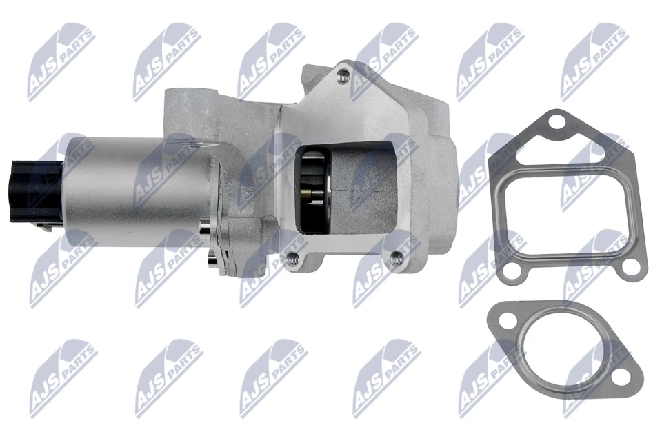 Válvula EGR de recirculação dos gases SsangYong Rexton 1 RJN