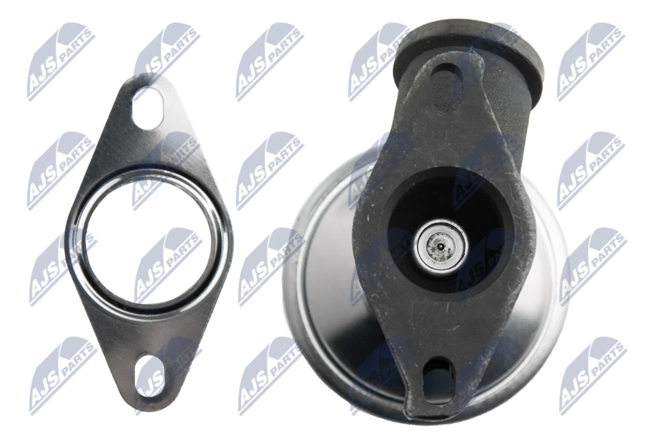 Válvula EGR de recirculação dos gases Peugeot 406 8B