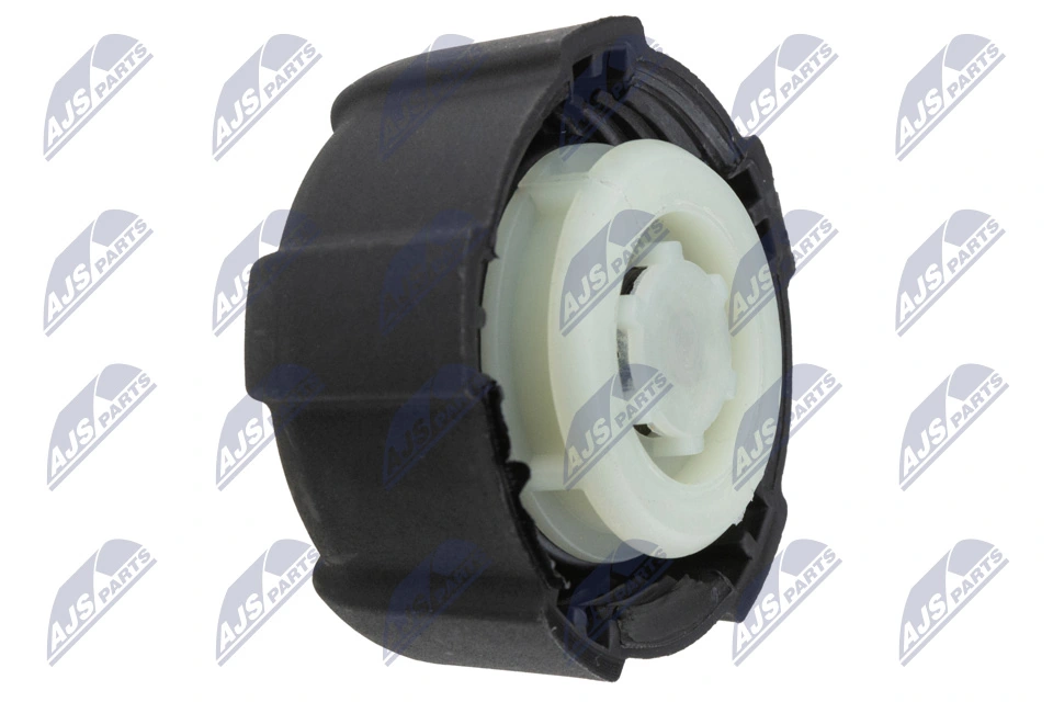 Tampa (tampão) do tanque de expansão Dacia Logan KS