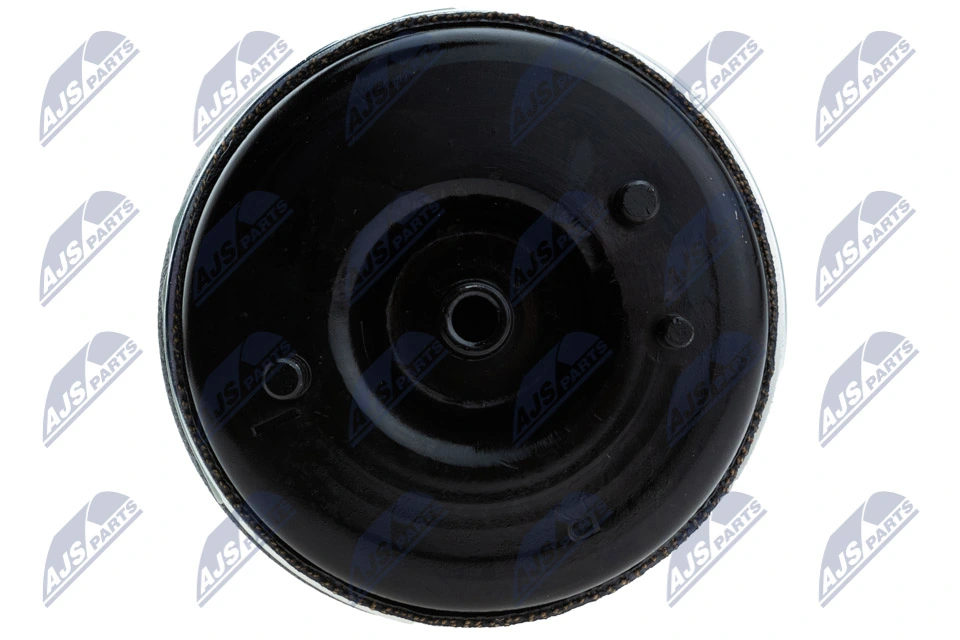Пневмоподушка (пневморессора) моста заднего EZCBM316 NTY