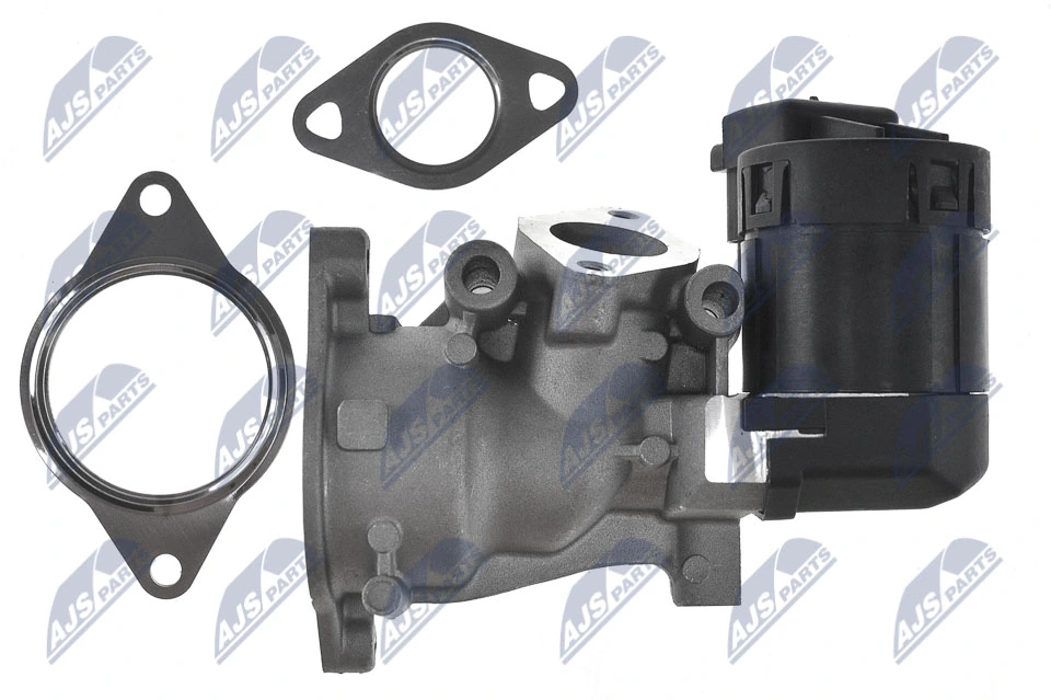 Válvula EGR de recirculação dos gases Peugeot 307 3H