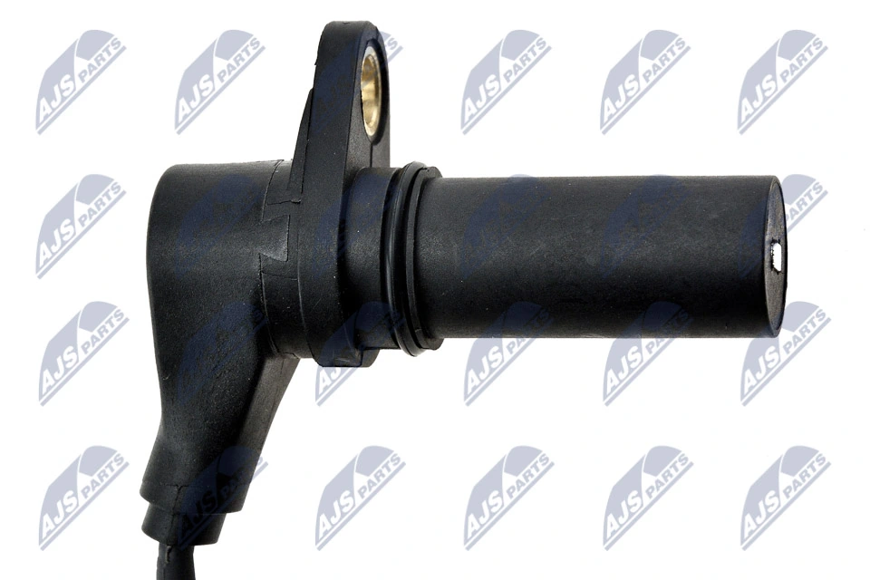 ECPAU022 NTY ДПКВ