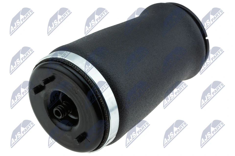 EZCBM316 NTY Пневморессора задняя