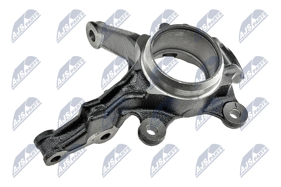 Цапфа передняя левая 4211031200 Renault (RVI)