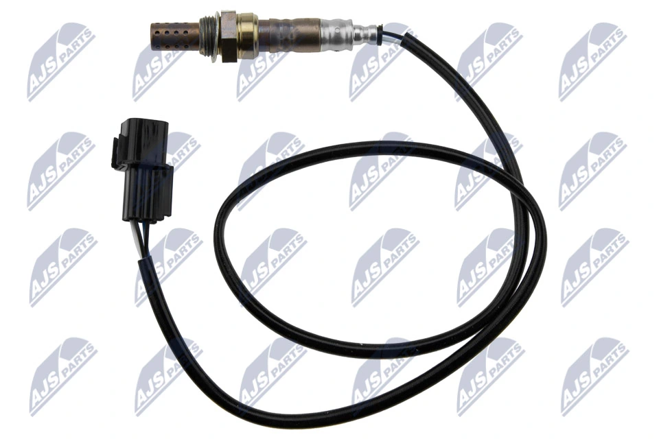 ESLMS012 NTY