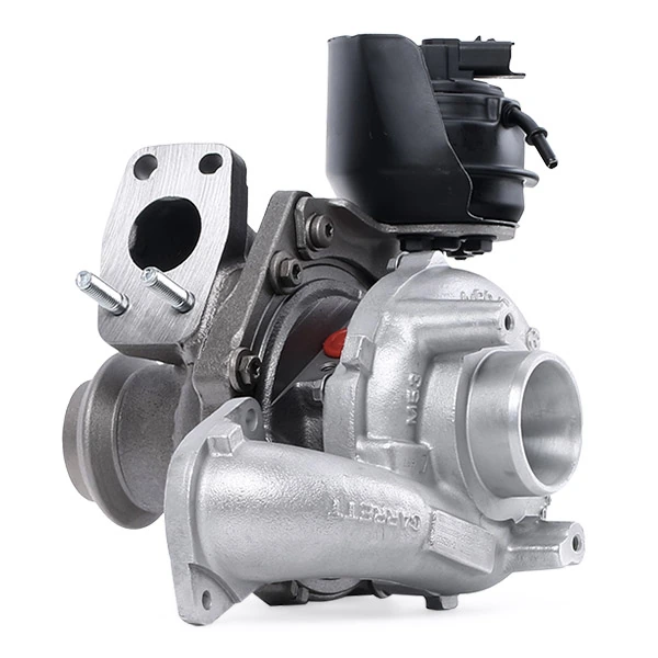 Купить 2234C10093R Ridex Турбоком