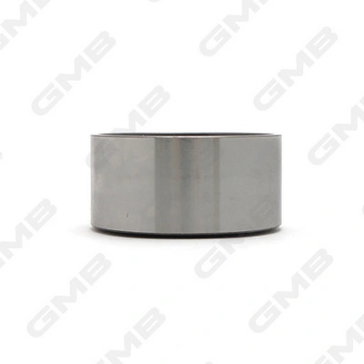 GT10160 GMB Паразитный ведущий ролик