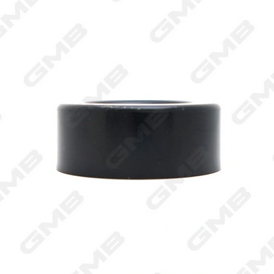 Reguladora de tensão da correia de transmissão Hyundai Santa Fe 1 SM