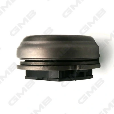 Rolamento de liberação de embraiagem Citroen Xsara N1