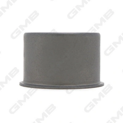 Rolo parasita da correia do mecanismo de distribuição de gás KIA Carnival 2 GQ