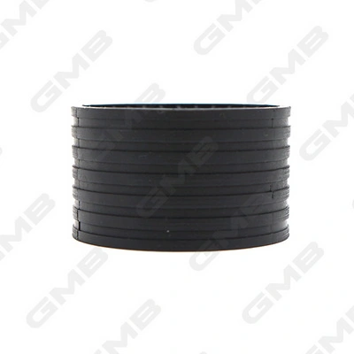 GT30510 GMB Паразитный ведущий ролик