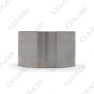 Rolo de reguladora de tensão da correia do mecanismo de distribuição de gás Hyundai Santa Fe 1 SM