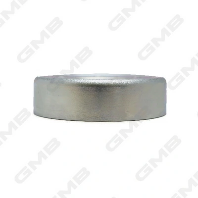 Ролик натяжителя ремня агрегатов на Toyota Avensis Verso LCM