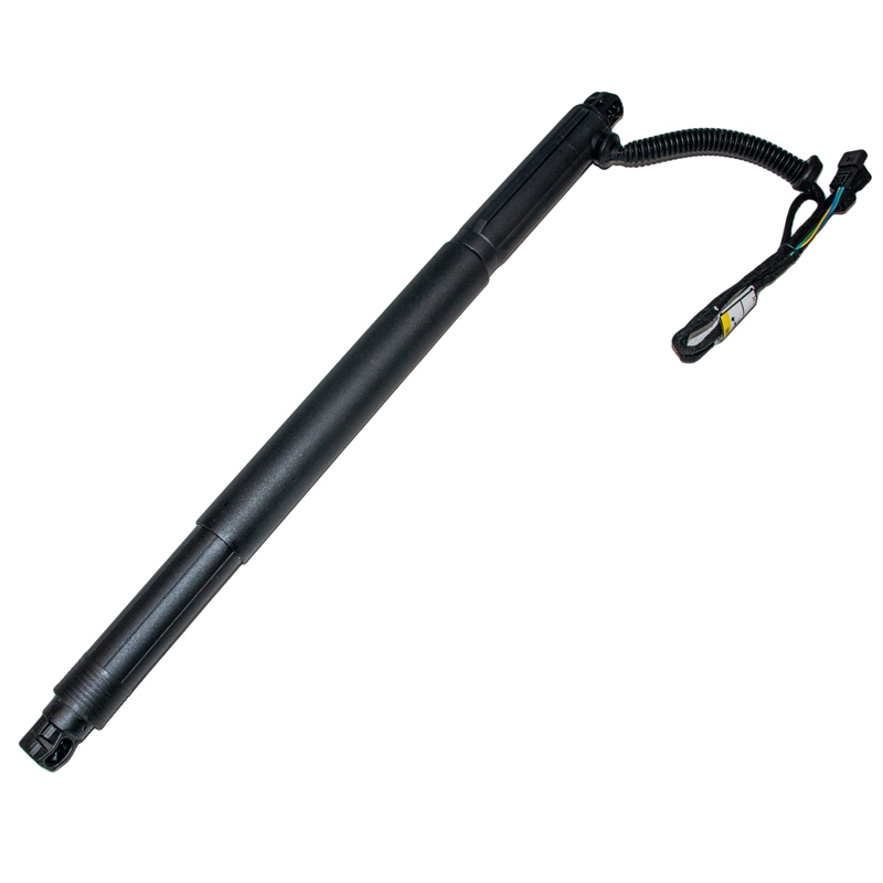 Amortecedor de tampa de porta-malas (de 3ª/5ª porta traseira) BMW X6 E71