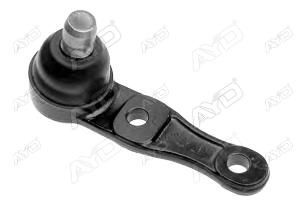 RL134550K Raiso Палец шаровой нижний