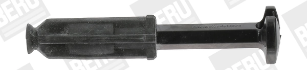 ZLE245 Beru