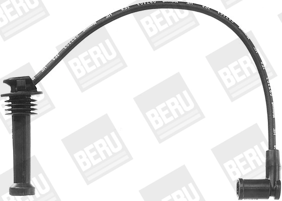 ZEF1115 Beru