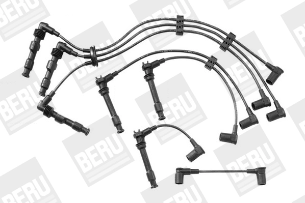 ZEF601 Beru