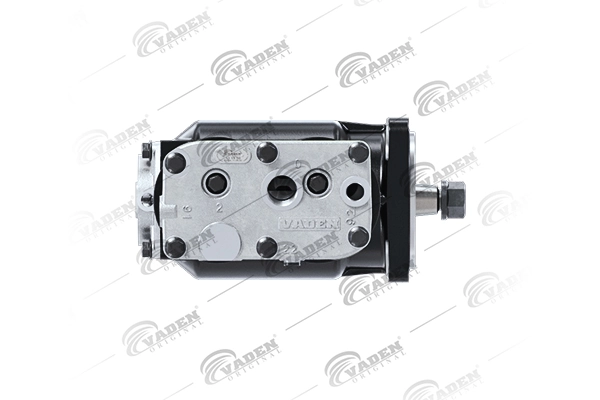  Vaden 1300110001