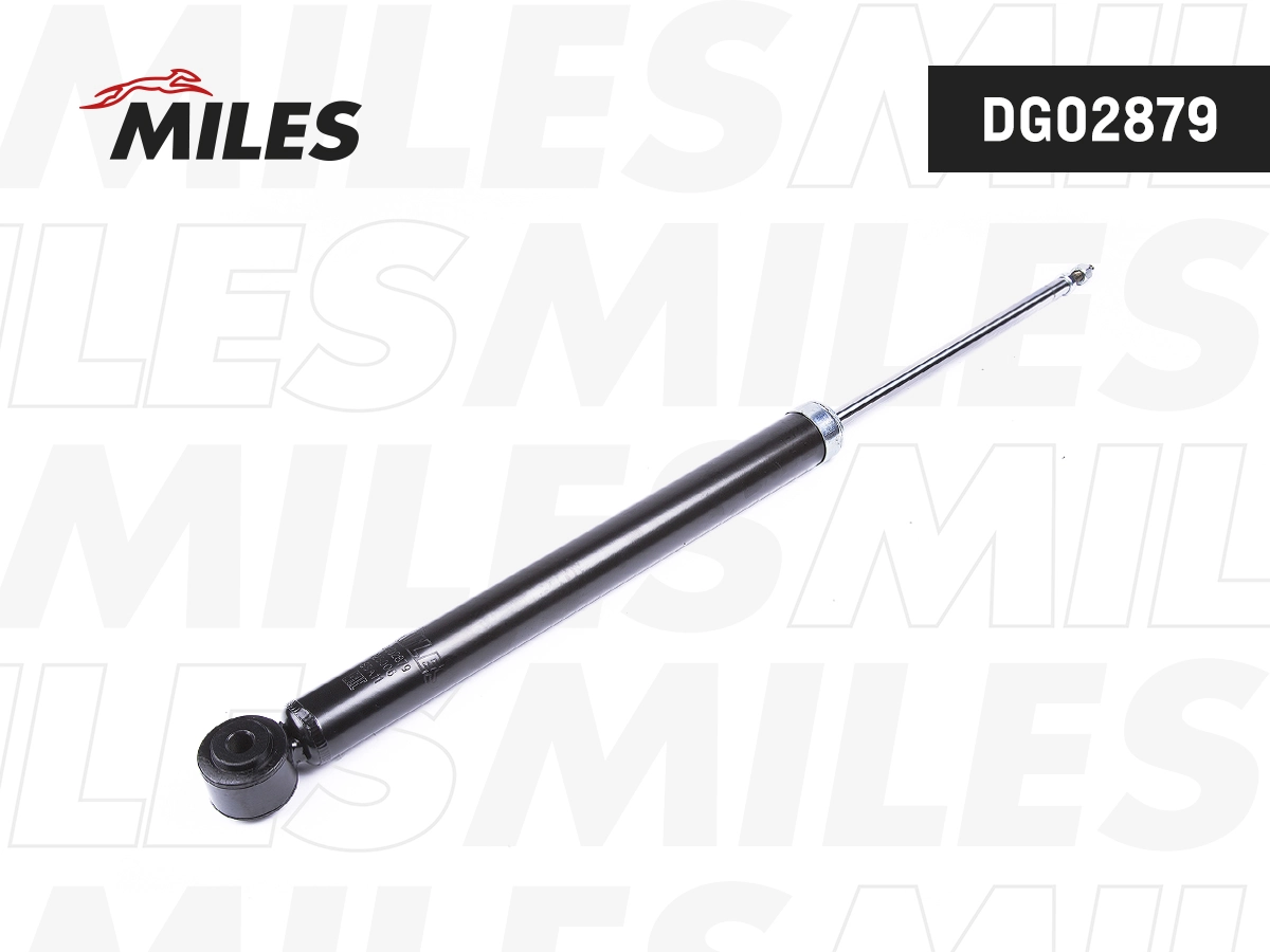 DG02879 Miles