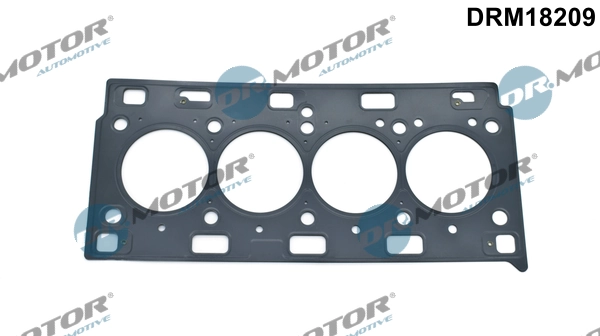 Прокладка ГБЦ Renault Laguna II хэтчбек (BG0, BG1) (2001 - 2007) цена, от 40.49 USD