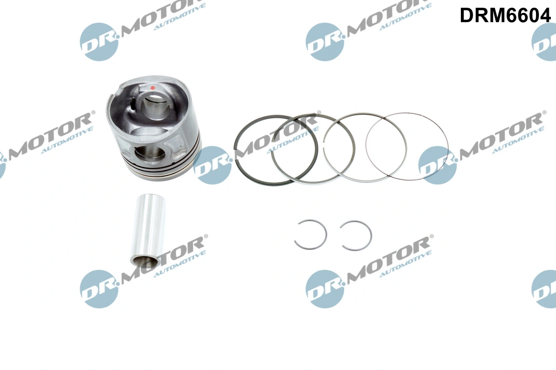 9800484580 Peugeot/Citroen Поршень в комплекте на 1 цилиндр, STD