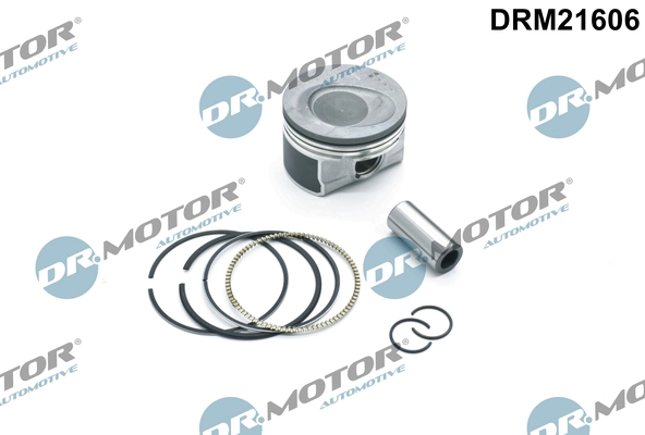 DRM21606 Dr.motor