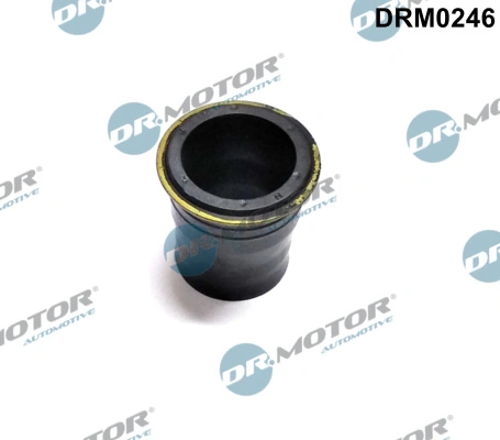 DRM0246 Dr.motor
