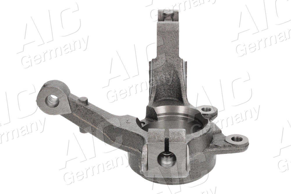 Цапфа (поворотный кулак) передний левый AIC 56455 цена, от 39.34 USD