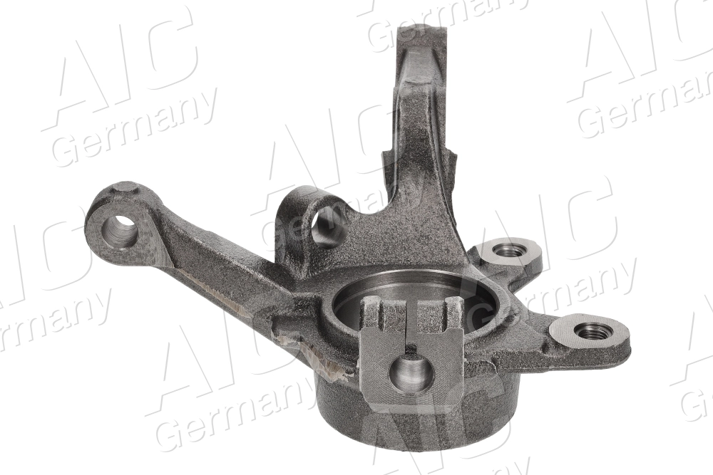 Цапфа передняя левая 7700779270 Renault (RVI)