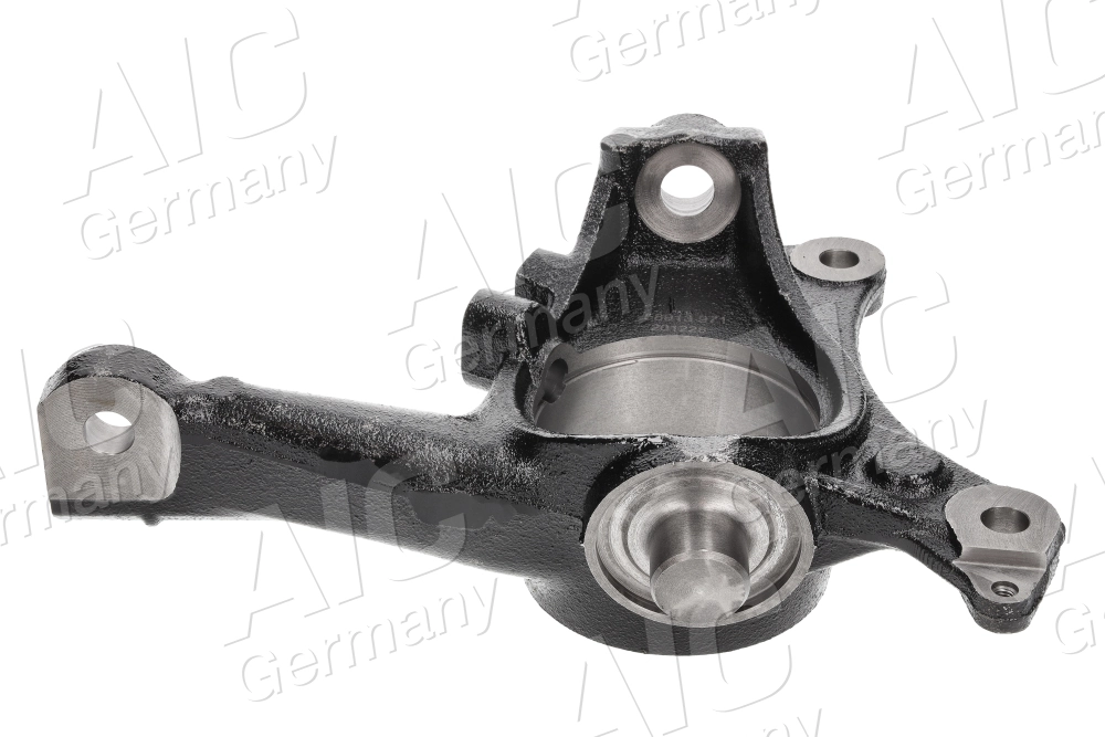 Цапфа (поворотный кулак) передний левый AIC 58913 цена, от 73.79 USD