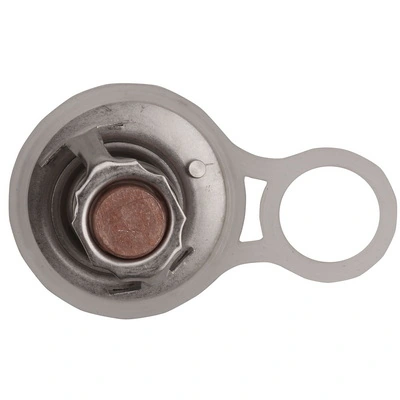 Termostato Chrysler Voyager 3 RG, RS