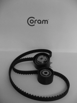 Correia do mecanismo de distribuição de gás, kit Renault Kangoo 1 KC0, KC1