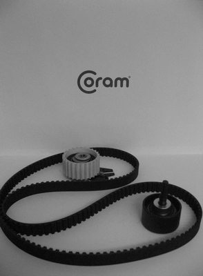 Correia do mecanismo de distribuição de gás, kit Fiat Palio 178DX