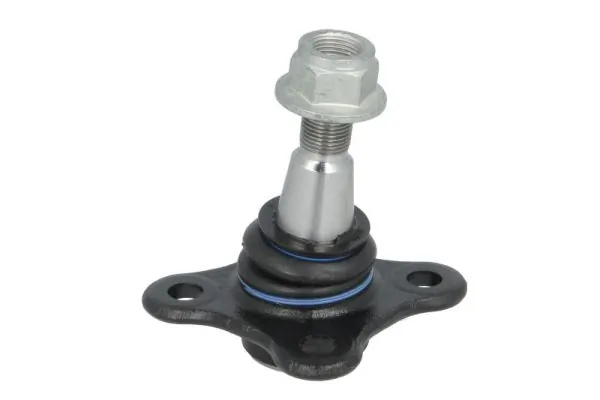 RH033030 Reinhoch