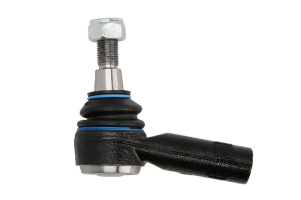 RH010034 Reinhoch