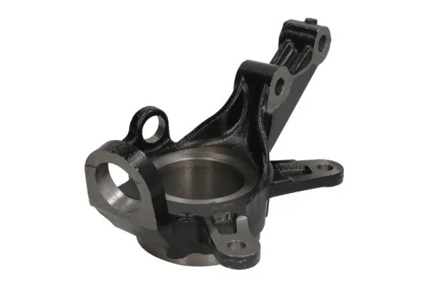RH088008 Reinhoch