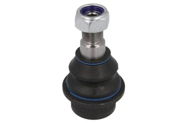 RH030020 Reinhoch