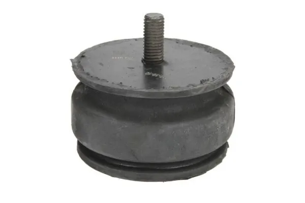 RH114002 Reinhoch Подушка (опора) двигателя, левая