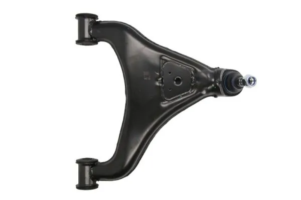 RH043065 Reinhoch