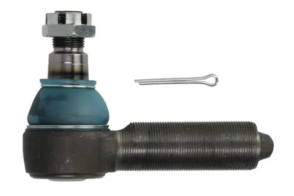 RH522004 Reinhoch