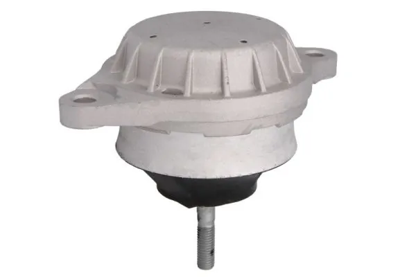 RH110002 Reinhoch Опора двигателя, левая/правая