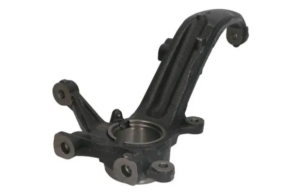 RH088031 Reinhoch