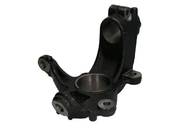 RH084011 Reinhoch