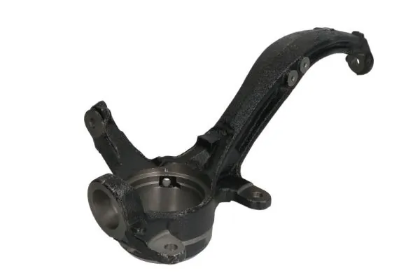 RH088025 Reinhoch