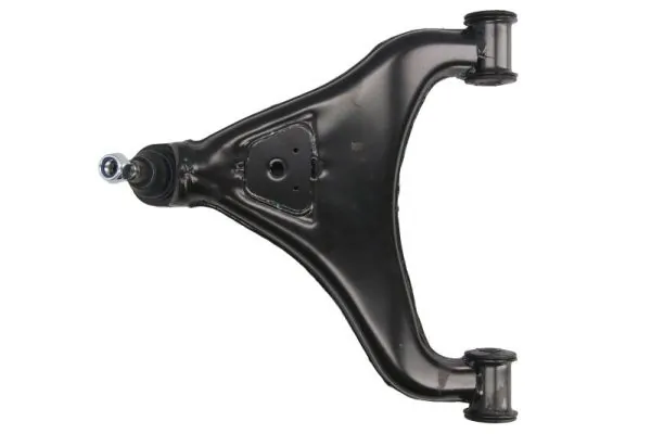 RH043066 Reinhoch