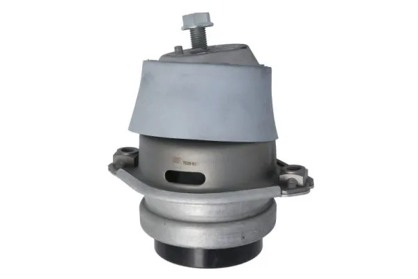 RH113147 Reinhoch