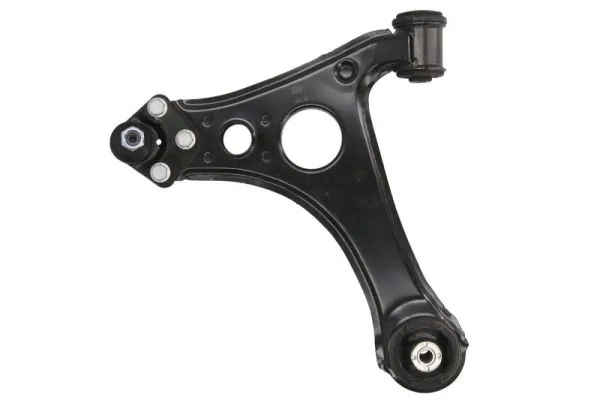 RH043077 Reinhoch