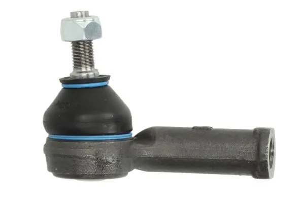 RH011006 Reinhoch